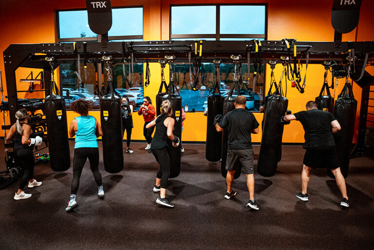 Small Group - Fitness Training